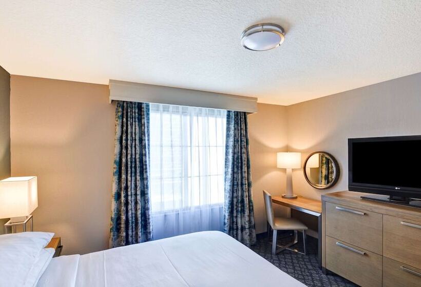 חדר סטנדרט מיטה זוגית, Embassy Suites By Hilton Orlando Downtown