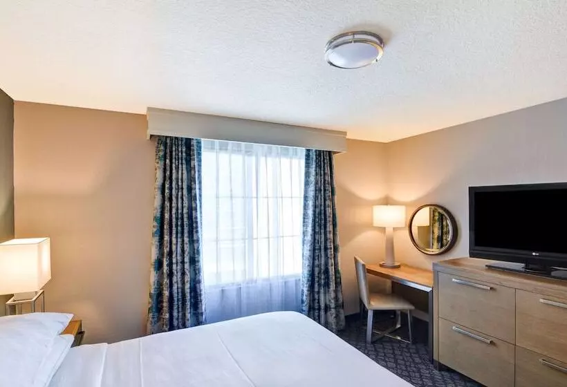 اتاق استاندارد با تخت دوبل, Embassy Suites By Hilton Orlando Downtown