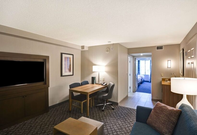 适合残疾人士使用的套间, Embassy Suites By Hilton Orlando Downtown