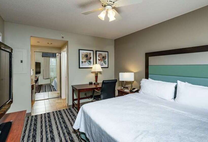 מיטת קינג בסוויטה, Embassy Suites By Hilton Orlando Downtown