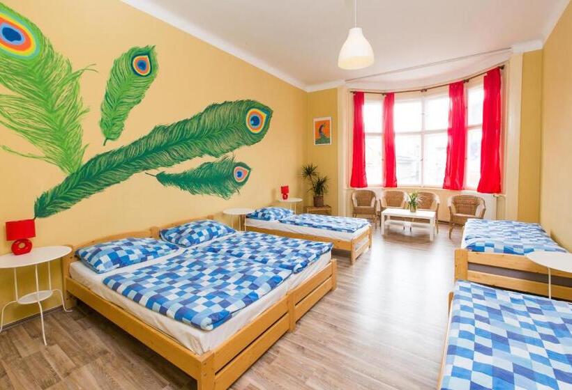 اتاق پنجتخته استاندارد, Hostel Downtown