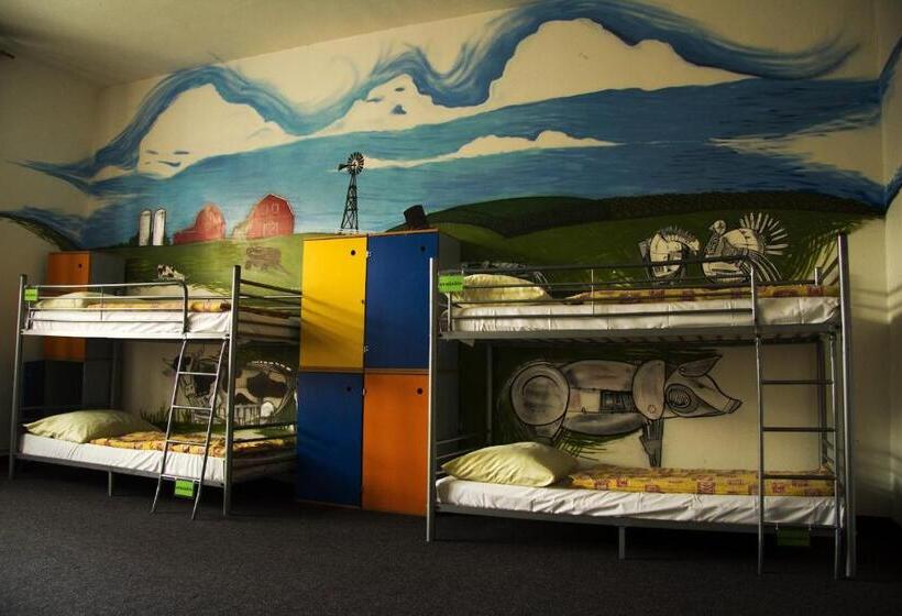 اتاق استاندارد با سرویس بهداشتی مشترک, Hostel Downtown