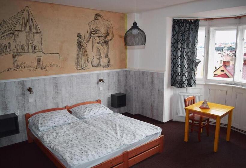 اتاق استاندارد, Hostel Downtown