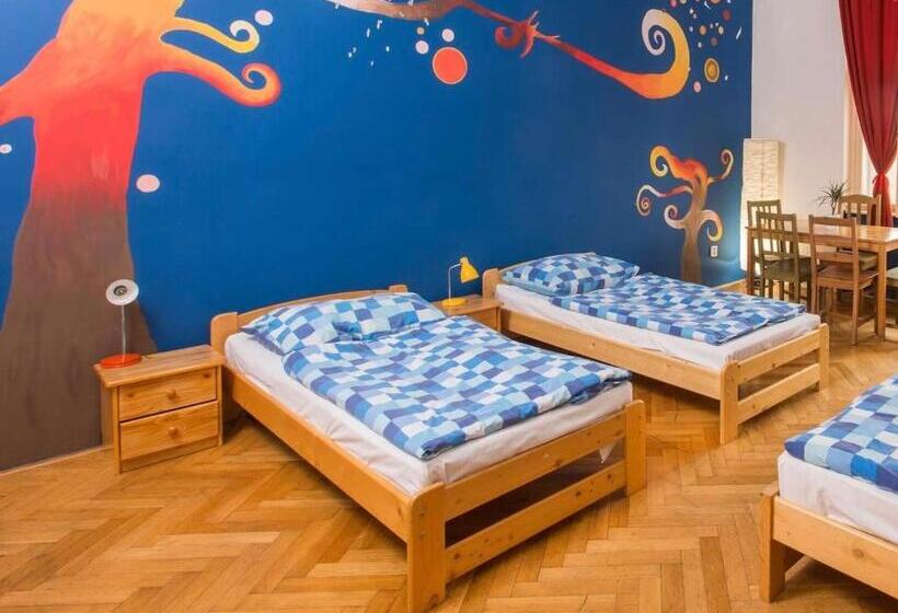 تختخواب در اتاق مشترک, Hostel Downtown