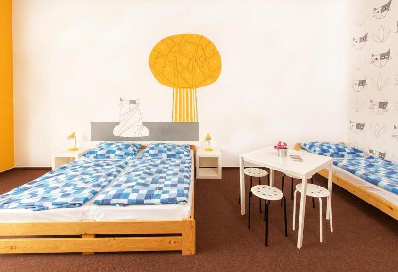اتاق استاندارد با سرویس بهداشتی مشترک, Hostel Downtown