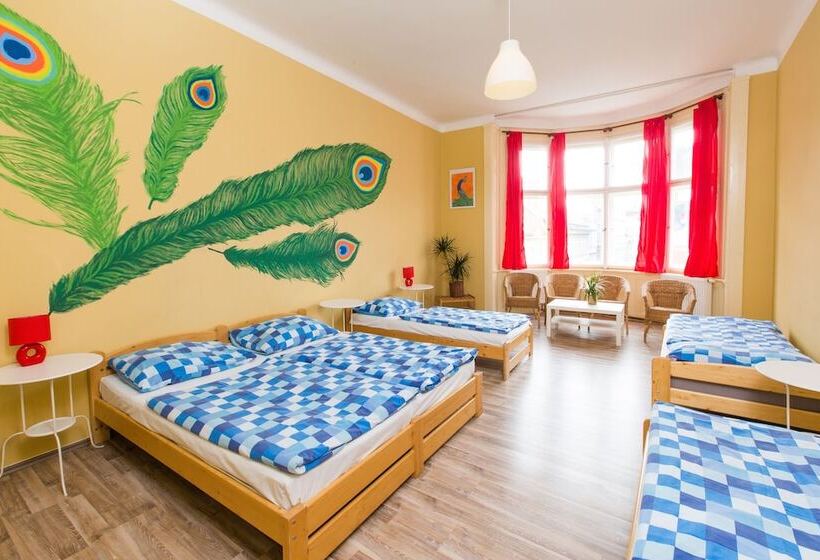 اتاق استاندارد, Hostel Downtown