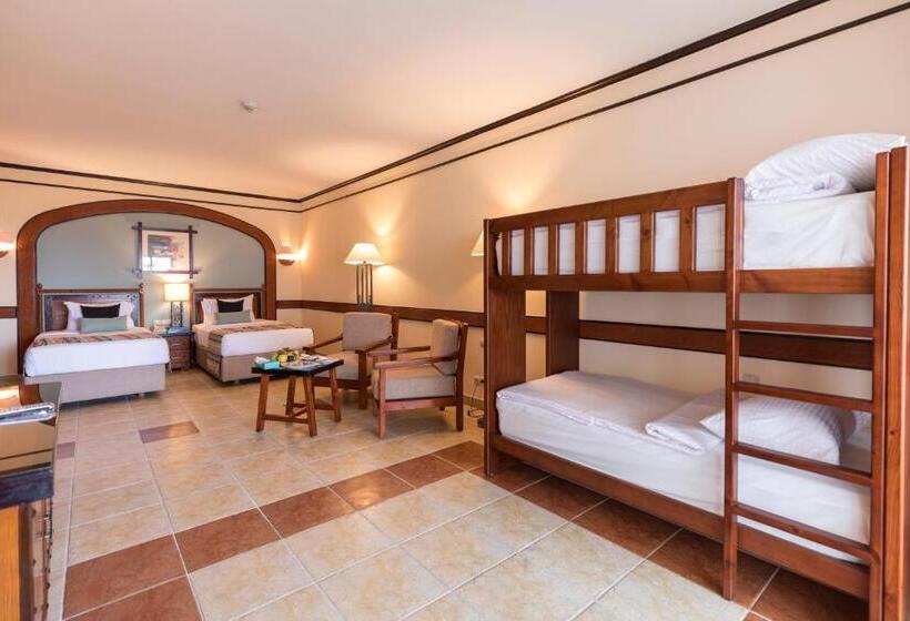 Family Room with Bunk Beds