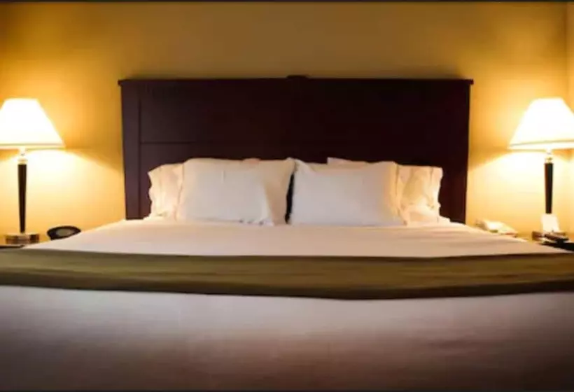 スタンダードルーム, Desalis Hotel London Stansted
