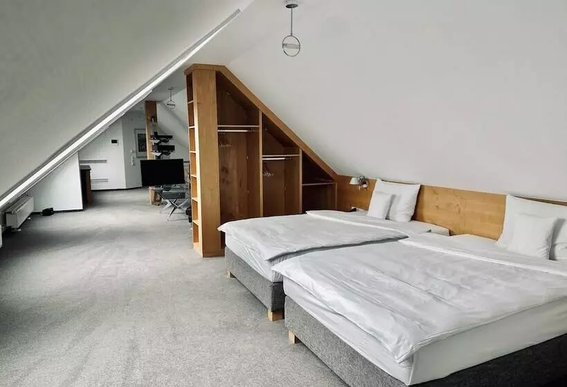 اتاق پنت هاوس, Avidonapartments