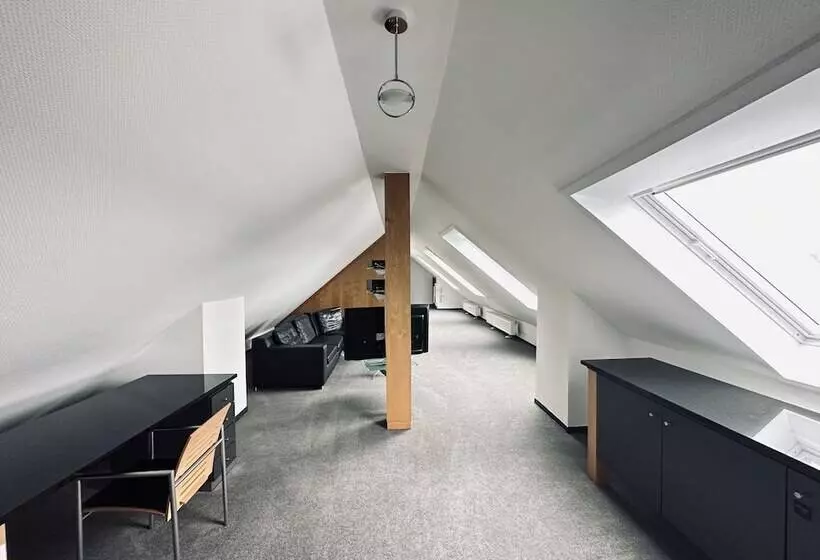 اتاق پنت هاوس, Avidonapartments