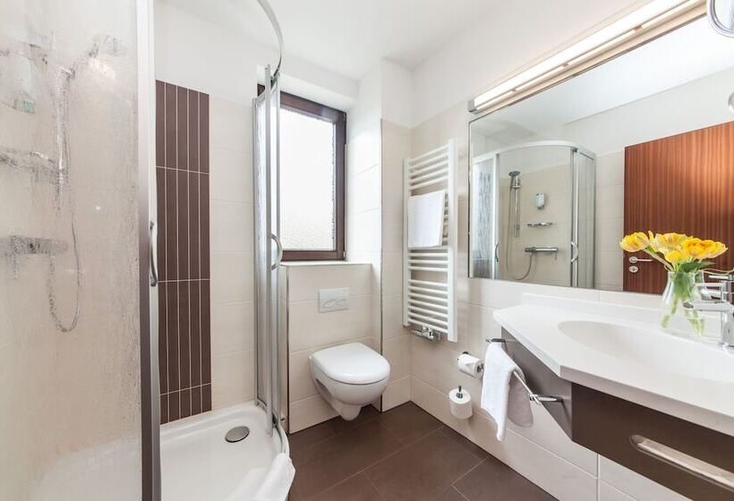 اتاق استاندارد, Strijewski