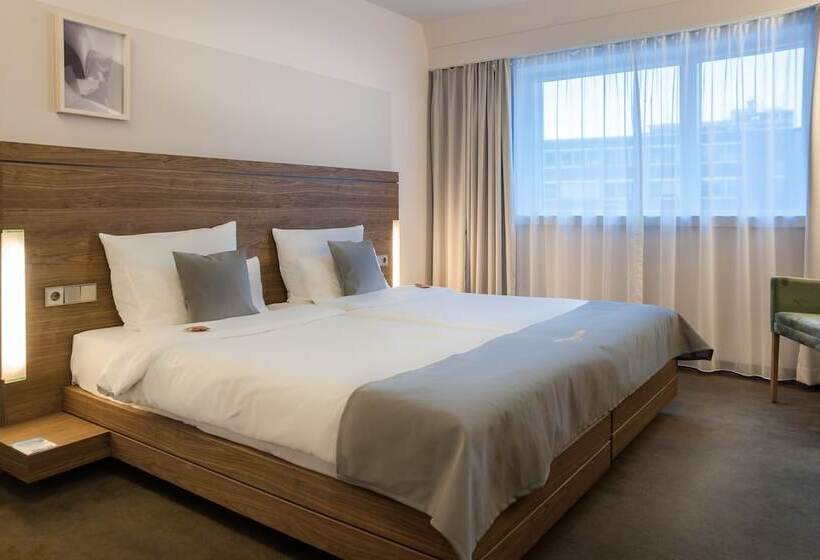 컴포트 룸, Stadtpalais