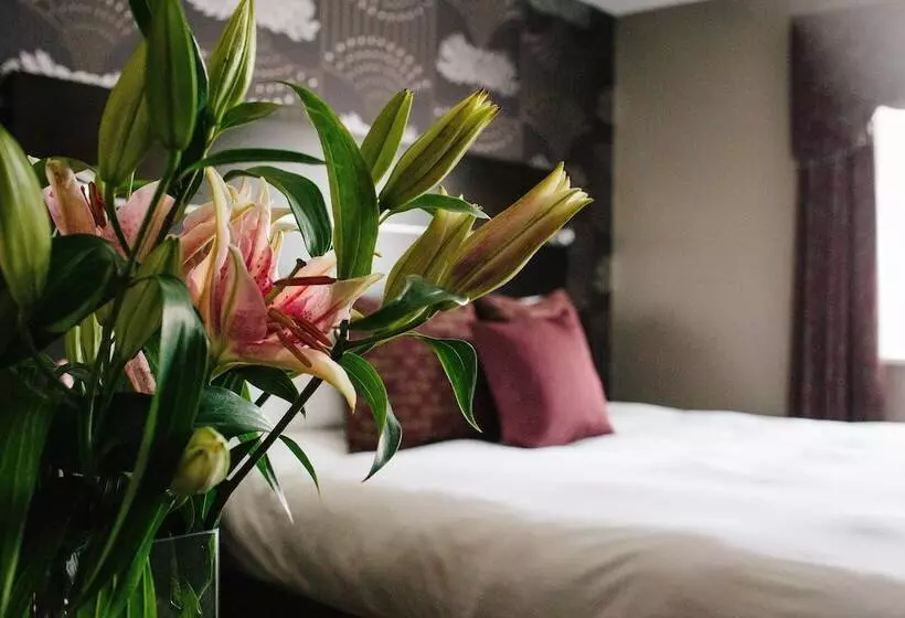 Standard Room, The Ashbourne