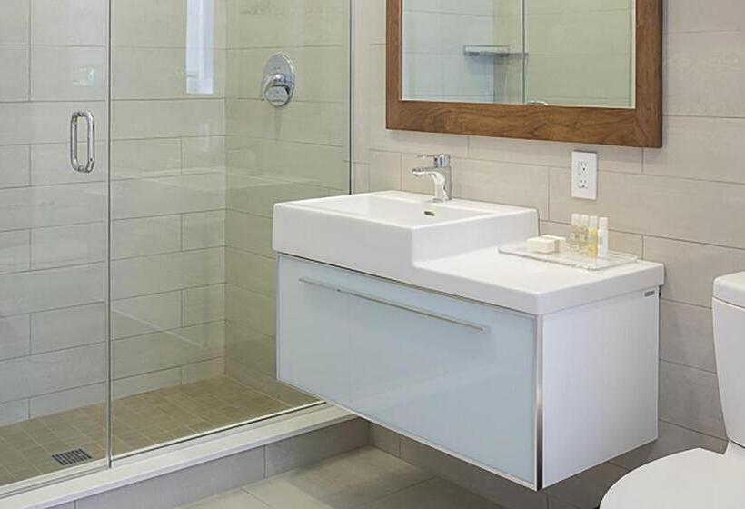 Полулюкс, The Revolution