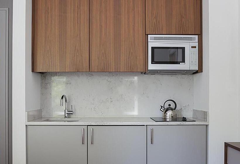 Номер Стандарт, The Revolution