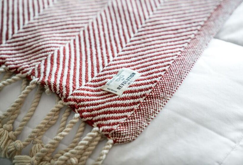 Номер Стандарт, The Revolution