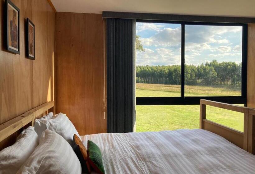 غرفة قياسية, Campo Arte