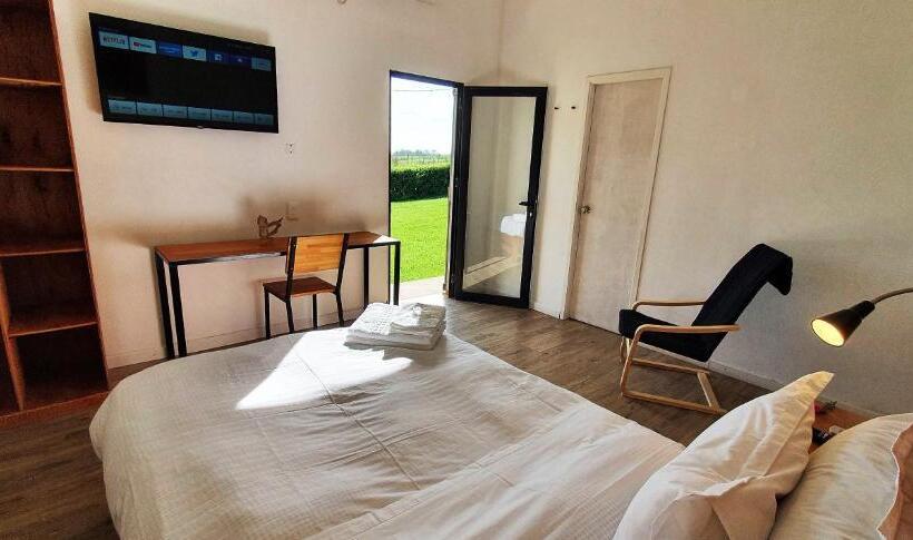 اتاق استاندارد, Campo Arte