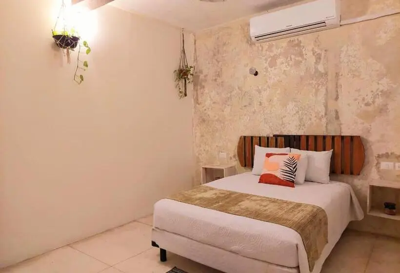 اتاق استاندارد, Valladolid 48 Hotel & Hostal