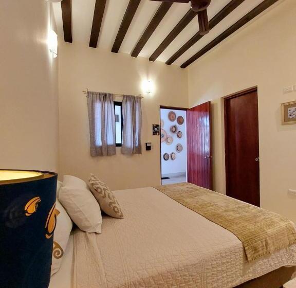 חדר סטנדרט, Valladolid 48 Hotel & Hostal