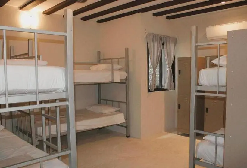 تختخواب در اتاق مشترک, Valladolid 48 Hotel & Hostal