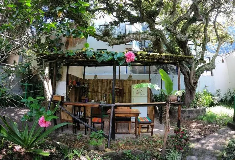 Standard-huone, Le Petit Jardin