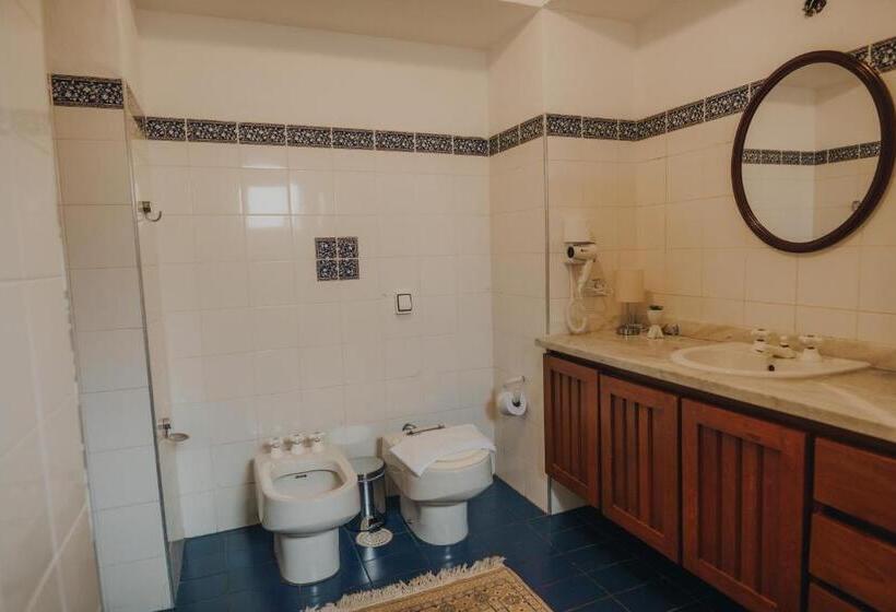 デラックスルーム, Pousada Hortelã