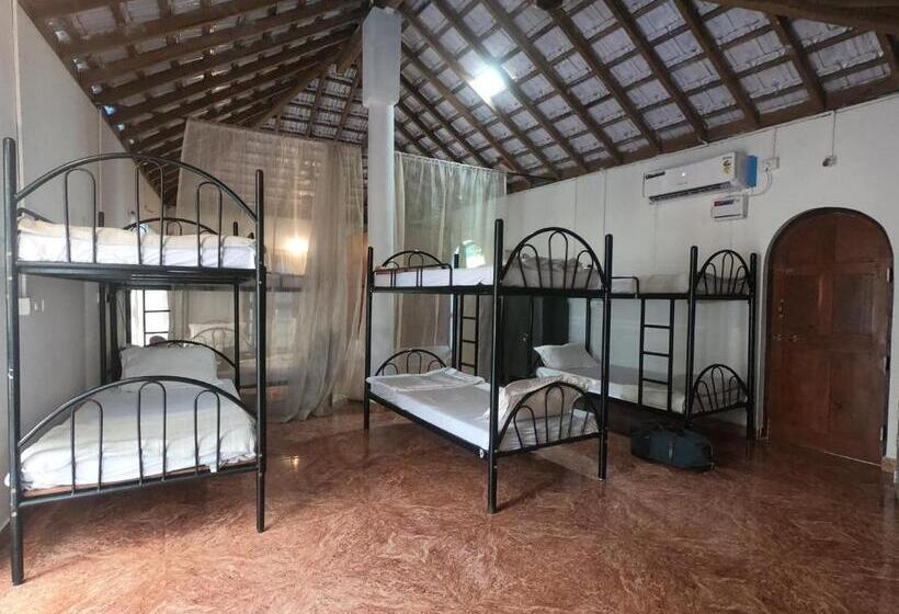 共用房间的床, Anjoned Hostel & Cafe