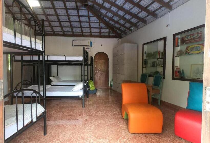 Кровать в Общей Комнате, Anjoned Hostel & Cafe