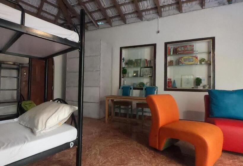 Кровать в Общей Комнате, Anjoned Hostel & Cafe