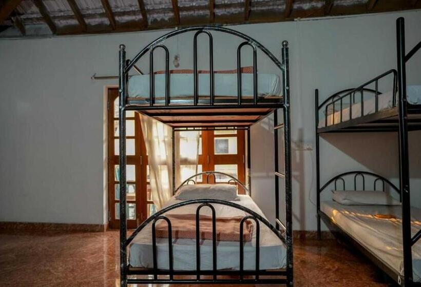 Кровать в Общей Комнате, Anjoned Hostel & Cafe