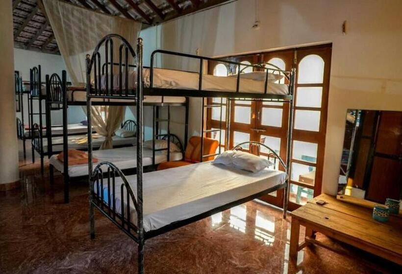 Кровать в Общей Комнате, Anjoned Hostel & Cafe