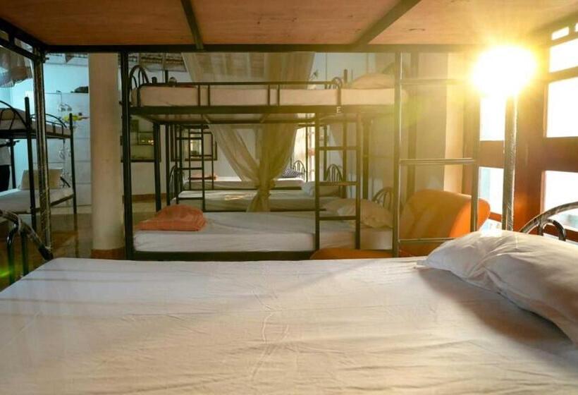 共用房间的床, Anjoned Hostel & Cafe