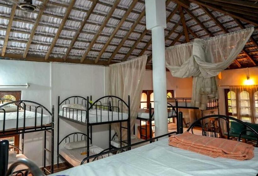 Кровать в Общей Комнате, Anjoned Hostel & Cafe