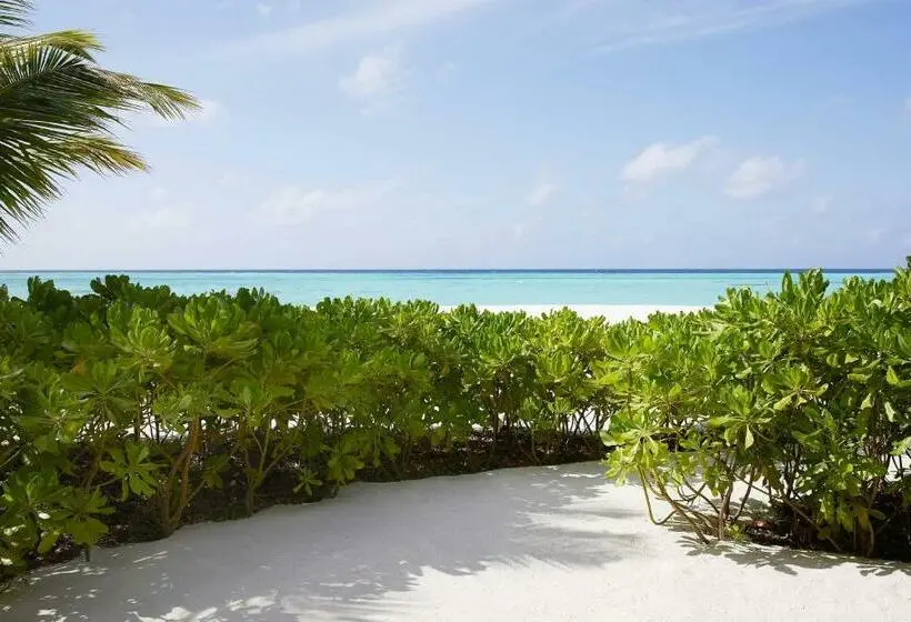 ویلای 1 خوابه, Le Meridien Maldives Resort & Spa