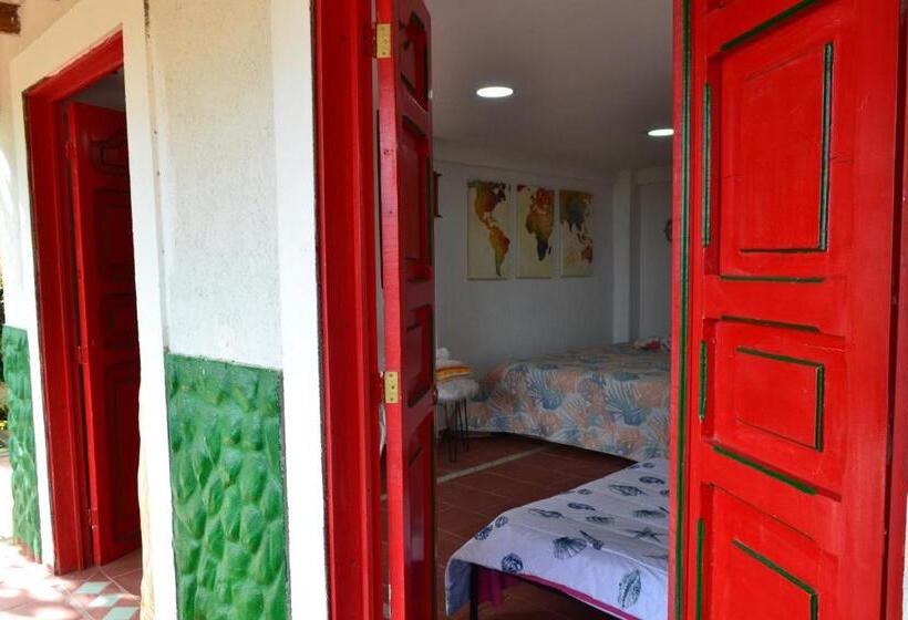 חדר אקונומי, Natura Cocora