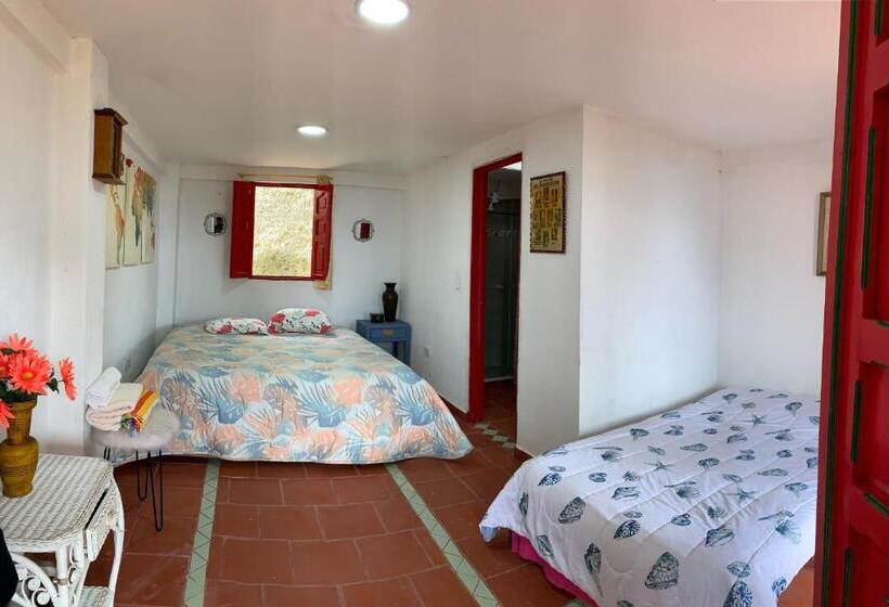 חדר אקונומי, Natura Cocora