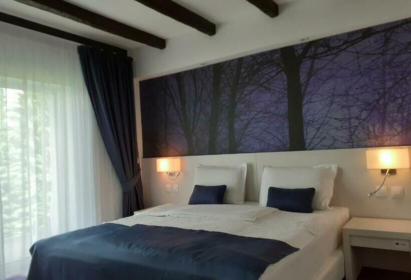 Номер Стандарт с Террасой, Pensiunea Constantin