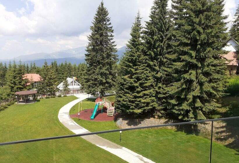 Номер Стандарт с Террасой, Pensiunea Constantin