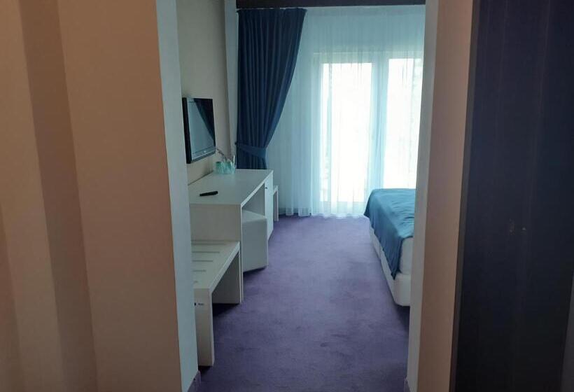 テラス付きスタンダードルーム, Pensiunea Constantin