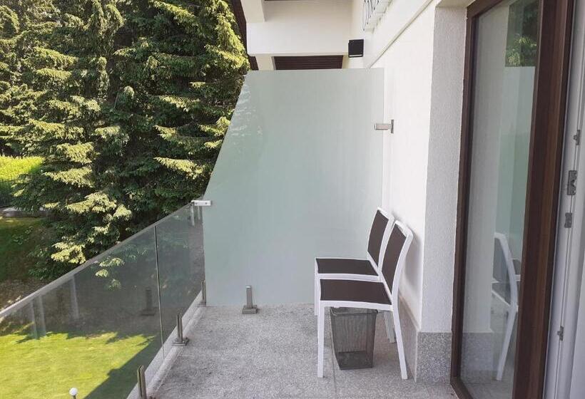 Номер Стандарт с Террасой, Pensiunea Constantin