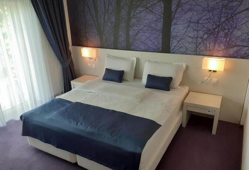 Номер Стандарт с Террасой, Pensiunea Constantin