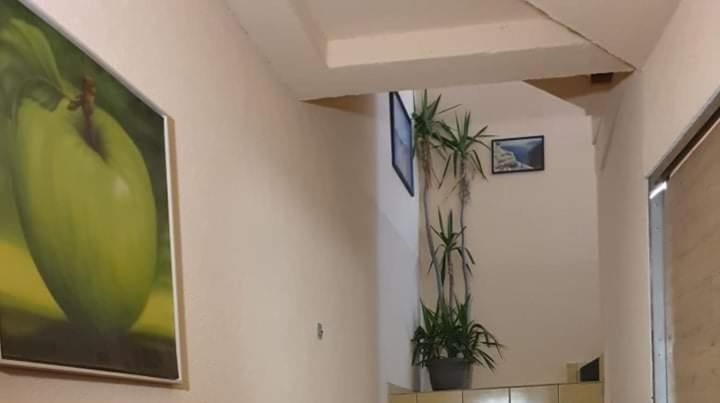اتاق استاندارد سه نفره, Sobe Royal 2 šabac