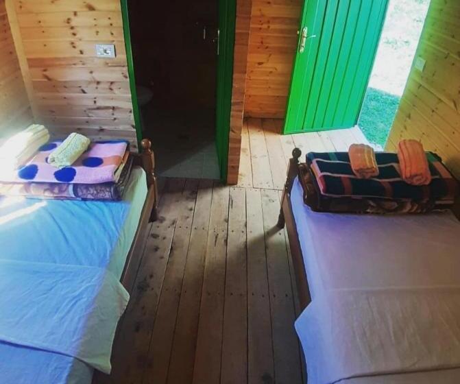 标准间, Bujtina Zemra Tradites