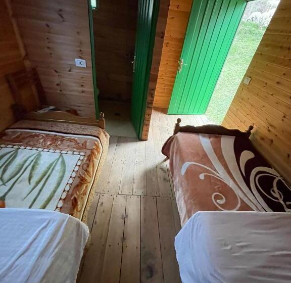 标准间, Bujtina Zemra Tradites