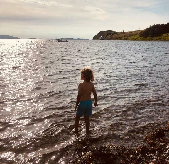 经济房, Stein Inn