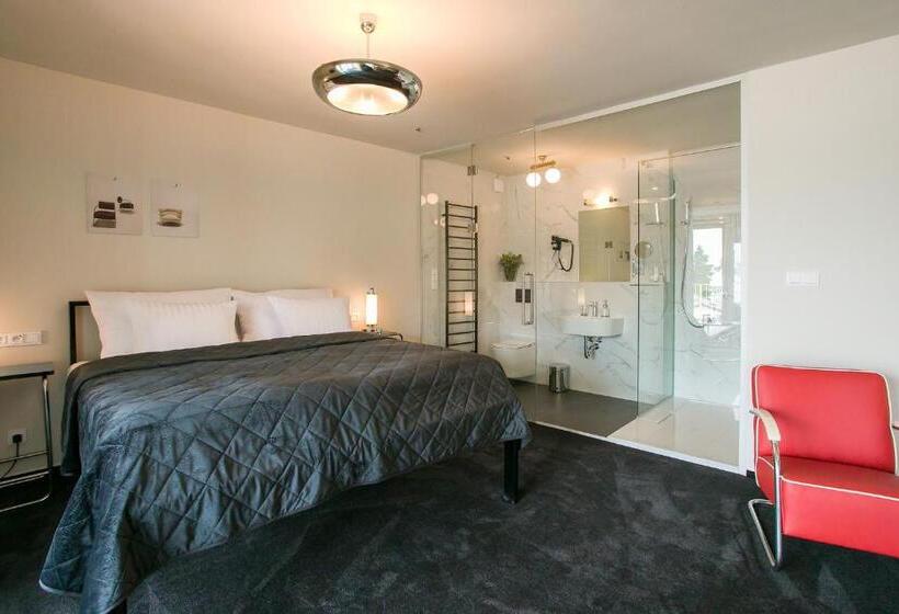 Номер Стандарт, & Gallery Kopacka