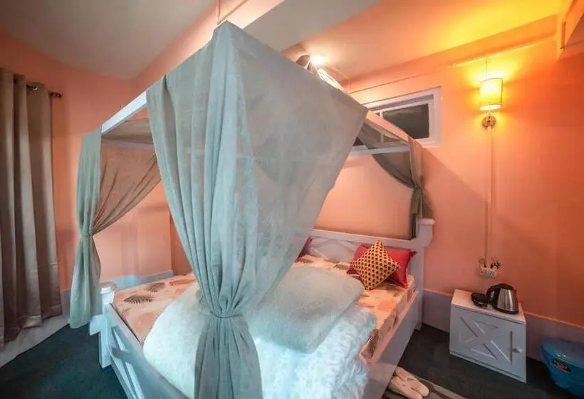 اتاق لوکس, Tag Along 2 0 Hostel Gangtok