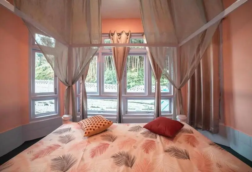 اتاق لوکس, Tag Along 2 0 Hostel Gangtok