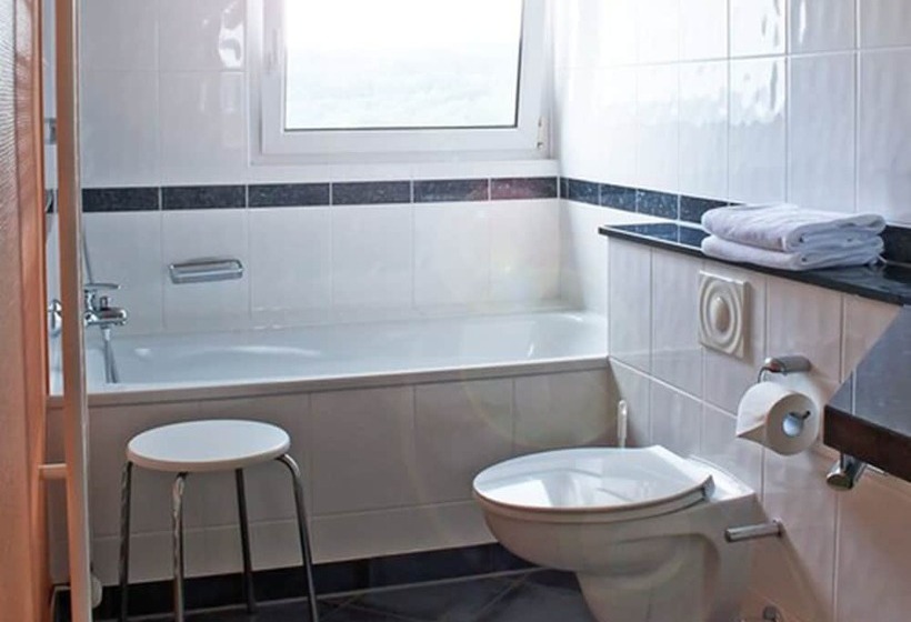 스탠다드 룸, Berggasthof Hotel Igelwirt